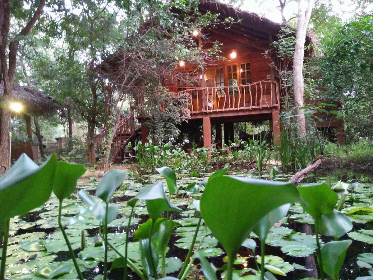 Habarana Tree House Mutu Village Exteriér fotografie