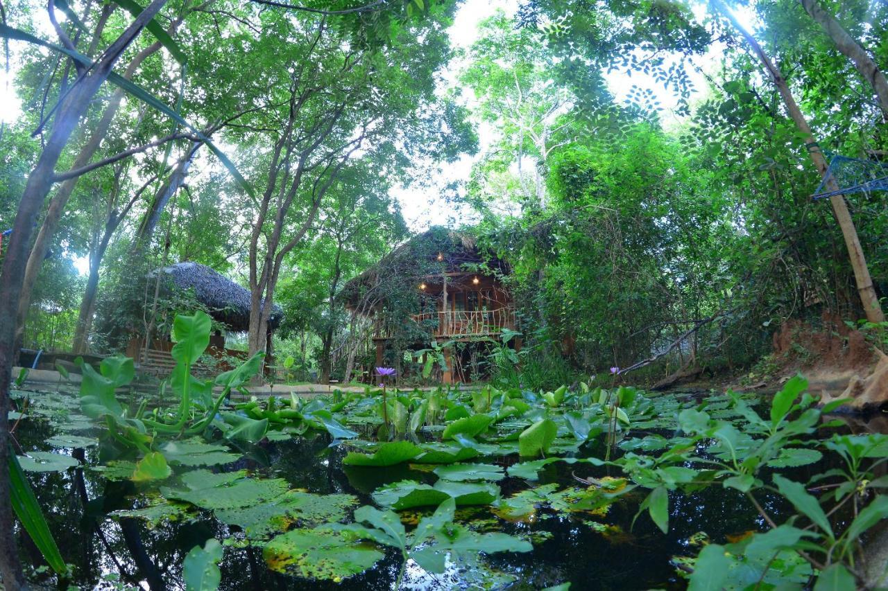 Habarana Tree House Mutu Village Exteriér fotografie